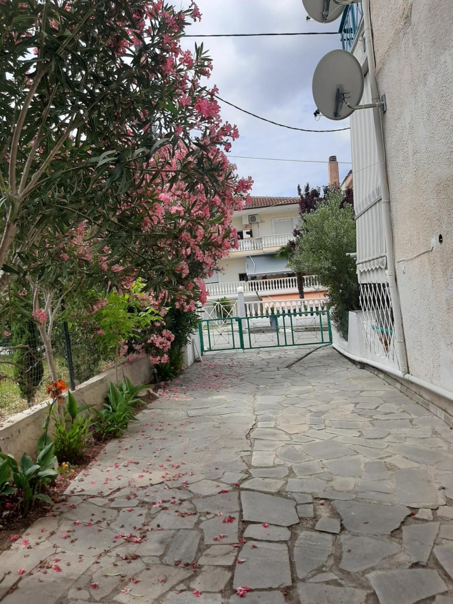 Marely Cosy House Daire Kallithea  Dış mekan fotoğraf